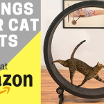 5 Things Your Cat Wants On Amazon