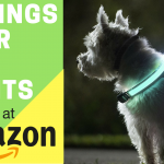 6 Things Your Dog Wants On Amazon